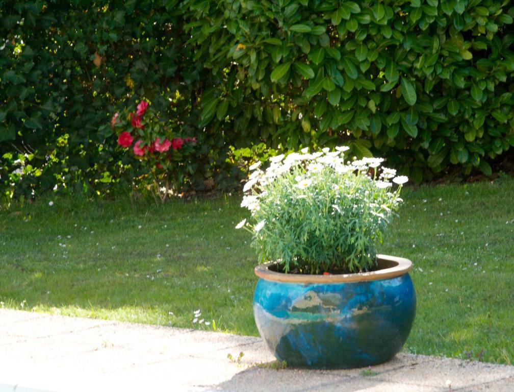 Les Hibiscus Bed and Breakfast Maisons-Laffitte Esterno foto
