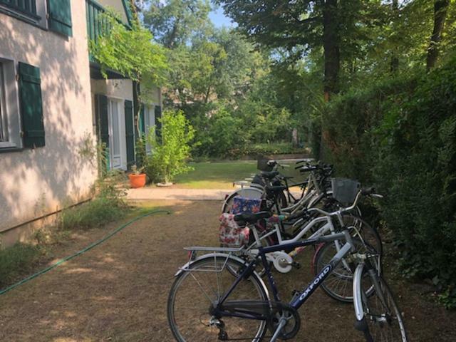 Les Hibiscus Bed and Breakfast Maisons-Laffitte Esterno foto